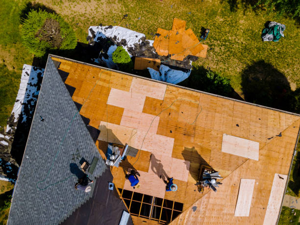 Best Roof Replacement Cost  in The Hammocks, FL