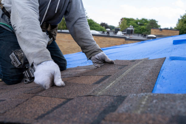 Best Residential Roofing Contractor  in The Hammocks, FL