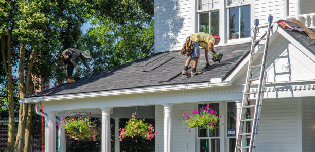 Best Roof Restoration Services  in The Hammocks, FL